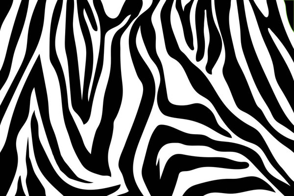 "Zebra Stripes Pattern". Зебра, шкура животного, полосы тигра, абстрактный рисунок, фон, ткань. Удивительная рисованная вручную векторная иллюстрация. Плакат, баннер. Чёрно-белый монохромный рисунок
