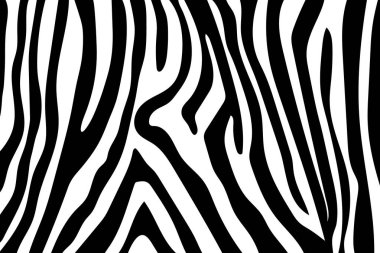Zebra çizgili desen. Zebra baskı, hayvan cilt, kaplan şeritleri, soyut desen, satır arkaplanı, kumaş. Şaşırtıcı elle çizilmiş vektör çizim. Poster, afiş. Siyah-beyaz sanat, monochrom