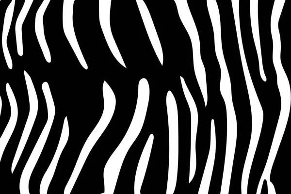 Modèle de rayures zébrées. Imprimé zèbre, peau d'animal, rayures de tigre, motif abstrait, fond de ligne, tissu. Illustration vectorielle dessinée à la main incroyable. Affiche, bannière. Oeuvres d'art noir et blanc, monochrome — Image vectorielle