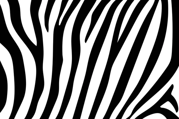 Zebra Stripes Pattern. Zebra print, animal skin, tiger stripes, abstract pattern, line background, fabric. Amazing hand drawn vector illustration. Poster, banner. Black and white artwork, monochrom — Stock Vector