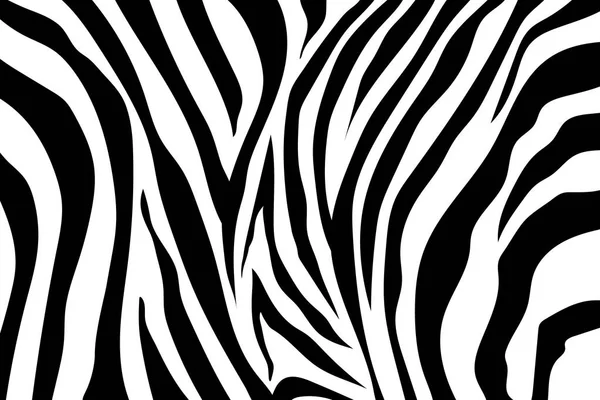 Zebra ränder mönster. Sebratryck, tiger ränder, linje bakgrund, abstrakt mönster, djurhudar, tyg. Fantastisk hand dras vektorillustration. Affisch, banner. Svartvita teckningar, monochrom — Stock vektor