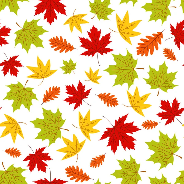Podzimní Listí Vektor Bezešvé Vzor Bílém Pozadí — Stockový vektor