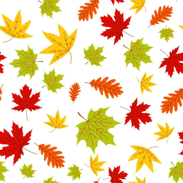 Sonbahar vektör Dikişsiz desen beyaz zemin üzerine bırakır..