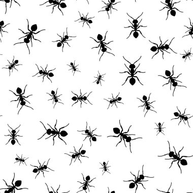 Karınca seamless modeli. Siyah ve beyaz karıncalar ile Dikişsiz desen vektör. Hayvan arka plan
