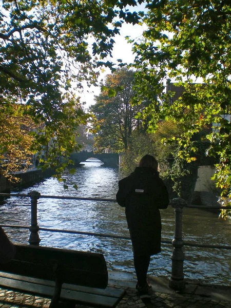 Niño Pequeño Apoyado Una Barandilla Con Vistas Canal Brujas Bélgica — Foto de Stock