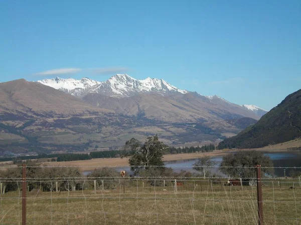 A paddock with cows seen through a wire fence. There is a lake, with some snow-topped mountians in the distance.The sky is blue, with a few white and grey clouds.