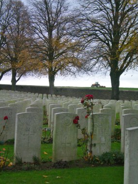 A row of white tombstones beside a field. A red rose flowers beside one tombstone. Trees mark the border of the graveyard. A tractor is in the distance. clipart