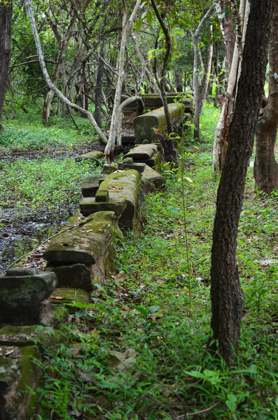 The remains of a wall of an ancient wat, or temple, are in a forest in Cambodia. The scenery is lush and green. The stones are covered in moss, but their original shape can be seen.