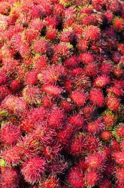 Hundreds of ed rambutan for sale in a market. The fruit is covered with red and yellow spikes.