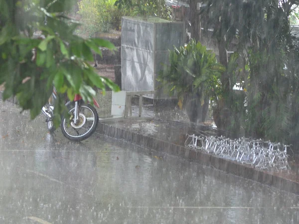 在一场热带暴雨中 一辆摩托车落在了路边 它被树叶半藏着 自行车架就在附近 — 图库照片