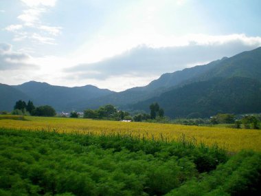 Yemyeşil bir yeşil alan ön planda olur. Sonraki padok büyük bir üründür. Bazı evler sadece vadide görülebilir. Ormanda kaplı dağlar mesafe vardır. Puslu ile beyaz ve gri bulutlar, gökyüzü.