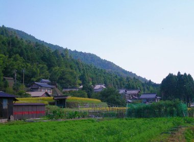 Geleneksel Japon bir tepe üzerinde ev sahipliği yapmaktadır. Tepeler çam ağaçlarıyla kaplı. Yemyeşil yeşil bitkileri ve kazandı meyve ağaçları ön planda bulunmaktadır. Hiç bulutlar ve sis, Gökyüzü mavidir.
