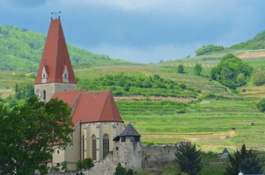 Avusturya Alpleri'nde tipik ahşap evler. Onlar üç öykü ve eğimli çatılar. Arkalarında ormanıyla kaplı yeşil tepeler vardır. Gökyüzü gridir.