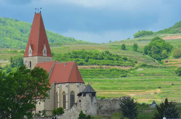 Avusturya Alpleri'nde tipik ahşap evler. Onlar üç öykü ve eğimli çatılar. Arkalarında ormanıyla kaplı yeşil tepeler vardır. Gökyüzü gridir.