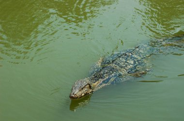 Bir Buda'nın eski bir heykel bir tuğla duvarın önünde oturuyor. Heykel bir kafa yoksun ve ve kolları ve ayakları da eksik. Kırmızı tuğla, küçük bitkiler çatlaklar ile çökmekte.
