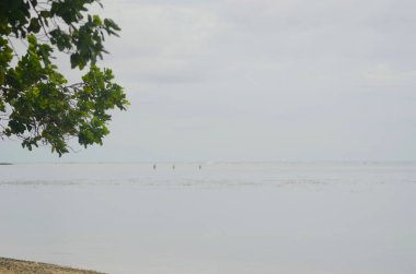 Bir sakin tropikal plaj su dalgalar nereye kırıyorlar uzak bir resif için uzanır. Bir ağaç görünümü çerçeveler. Üç kişi, suda ayakta sadece görülebilir. Gökyüzü bulutlu olduğu.