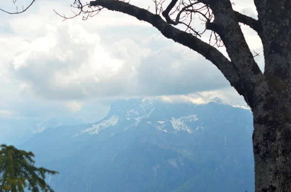 Mountain peaks are lost in storm clouds. Snow is on the side of the mountain. The bare branches of a tree frame the view.