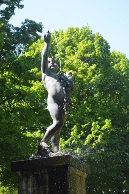 Bir çalı çıplak dallarında karşı açık mavi bir gökyüzü görülmektedir. Keskin sivri ve ölü çiçek başları, artı bazı yeni tomurcukları ile kaplıdır.