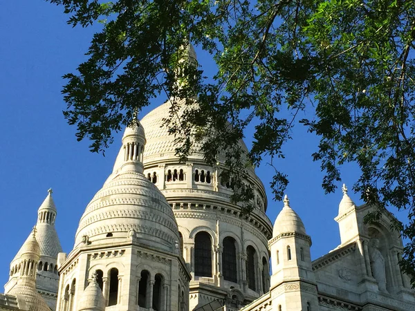 Basilica Montmatre Paris Seen Clear Blue Sky Branches Leaves Tree — Stock Photo, Image