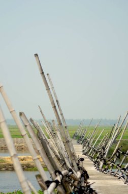 Vietnam kırsalında yeşil alanlar arasında bir bambu köprü.