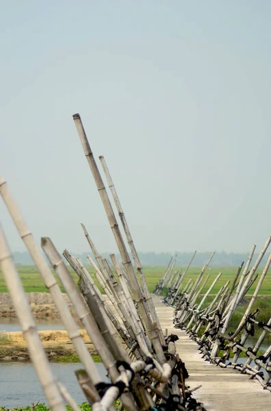 Vietnam kırsalında yeşil alanlar arasında bir bambu köprü.