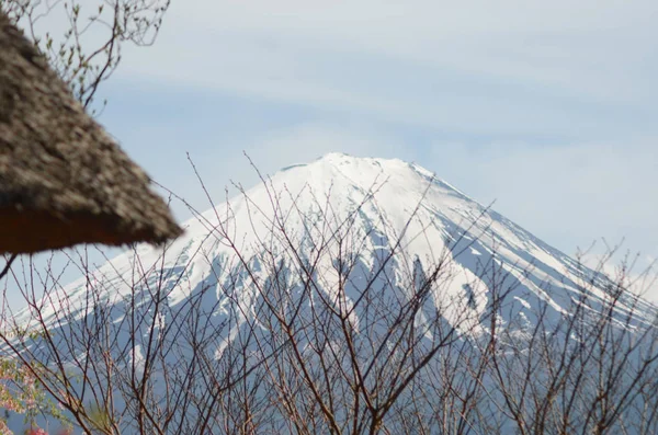 A nádtetős és csupasz ága egy cseresznyevirág fa keretben a céllal, MT Fuji. — Stock Fotó