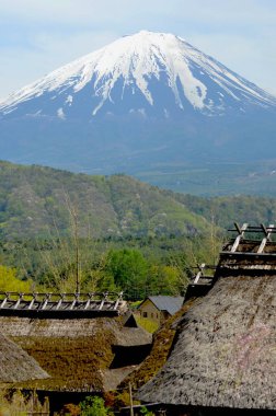 Fuji Dağı'na sazdan çatılar ve yeşil orman manzarası.