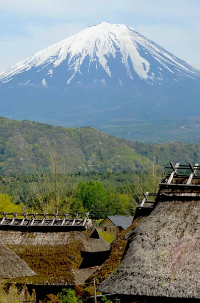 Fuji Dağı'na sazdan çatılar ve yeşil orman manzarası.