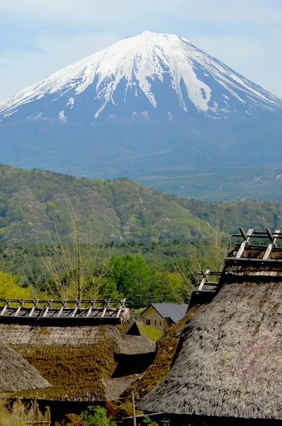 Вид на солом'яні дахи і зелений ліс на гору Фудзі. Ліцензійні Стокові Зображення