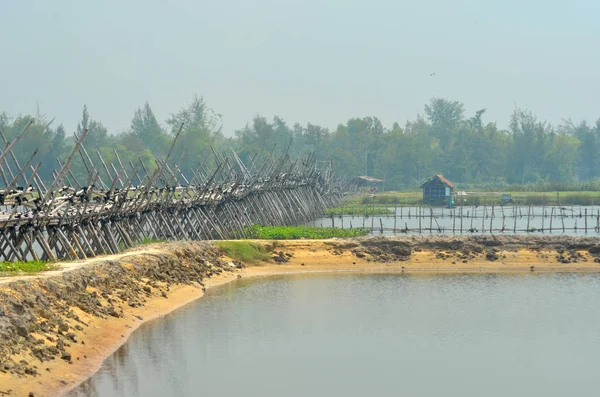 Flooded rice fields bordered by a bamboo bridge and fences of bamboo. — Stock Photo, Image