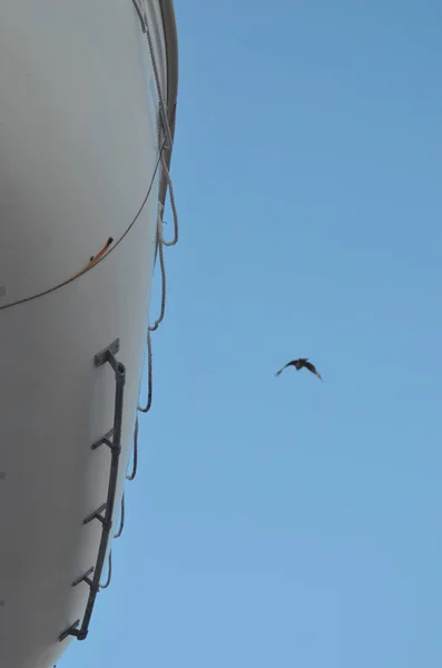 Η πλευρά ενός πλοίου, όπως φαίνεται από κάτω, με έναν αετό να πετάει στο παρασκήνιο. — Φωτογραφία Αρχείου