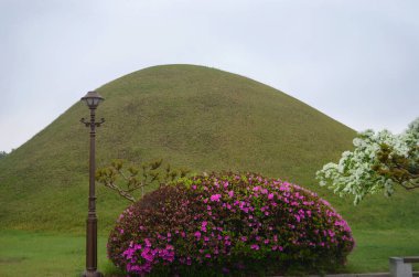 Yağ dolu bir kasede yanan fitilin yakın plan çekimi. Alevin beyaz ve mavisi siyah yağın karşısında sarı görünür..