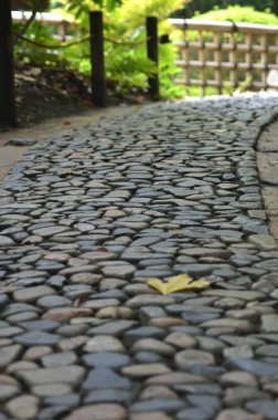 Japon akçaağacından düşen bir yaprak kaldırım taşı yolunda dinleniyor. Uzakta ahşap bir çit var, ötesinde bahçeler var..