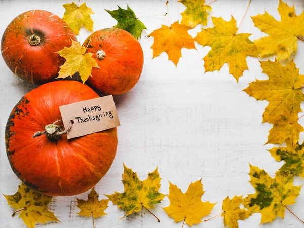 Bright, ripe pumpkins and red, autumn leaves — Stock Photo, Image