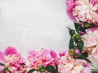 Peonies, alan beyaz bir arka plan üzerinde yazıtlar için