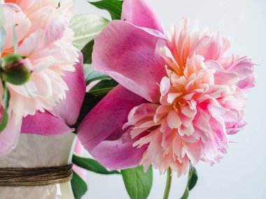 Parlak peonies, beyaz bir arka plan üzerinde vintage vazo