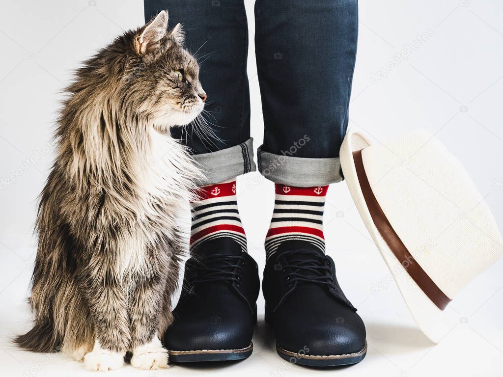 Charming kitty, men's legs, bright, multicolored socks with a nautical theme, hat and shoes on a white, isolated background. Close-up. Concept of style, fashion and beauty