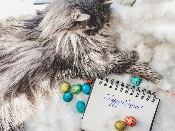Okouzlující Koťátko Notebook Gratulací Nápis Kraslice Malované Světlých Barvách Bílém — Stock fotografie