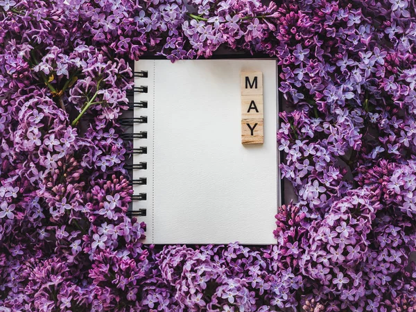 Skissbok Tom Sida Och Ljust Lila Blommor Ovanifrån Närbild Grattis — Stockfoto