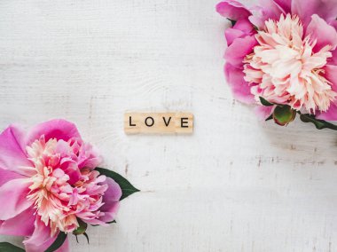 Renkli peonies, beyaz bir arka plan üzerinde kelime aşk