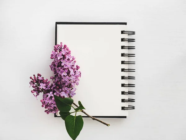 Gren av ljus lila och tom sida i sketchbook — Stockfoto