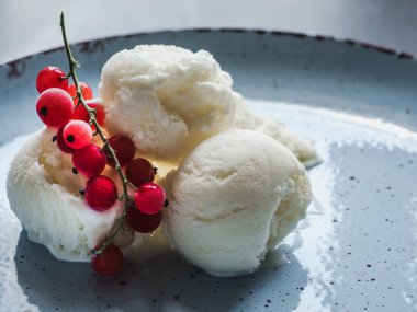 Parlak, lezzet dondurma ve kırmızı kuş üzümü