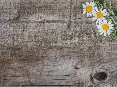 Güzel çiçek lenme buketi, parlak çiçekler. Close.