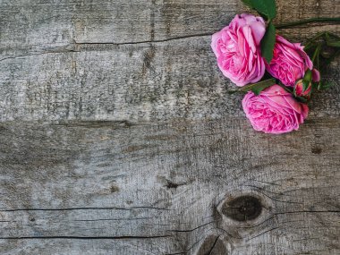 Güzel, bahar çiçekleri eski tahtaları üzerinde yalan