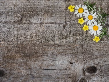 Güzel çiçek lenme buketi, parlak çiçekler. Close.