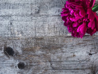 Güzel, bahar çiçekleri eski tahtaları üzerinde yalan