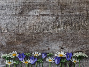 Güzel çiçek lenme buketi, parlak çiçekler. Close.