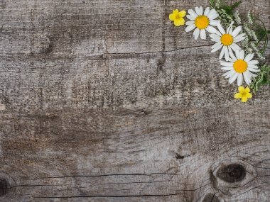 Güzel çiçek lenme buketi, parlak çiçekler. Close.