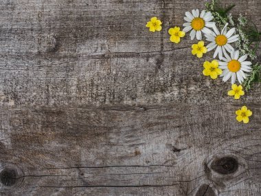 Güzel çiçek lenme buketi, parlak çiçekler. Close.