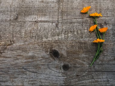 Güzel çiçek lenme buketi, parlak çiçekler. Close.